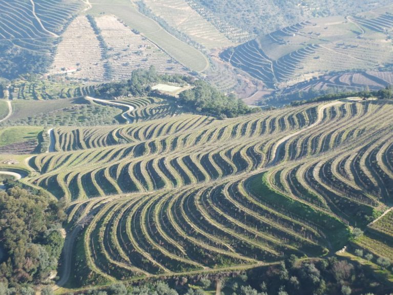 Douro Wine Tour
